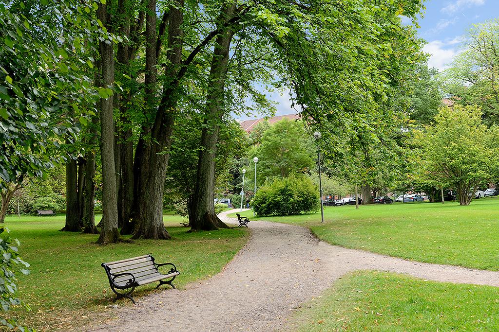 Lågupplöst