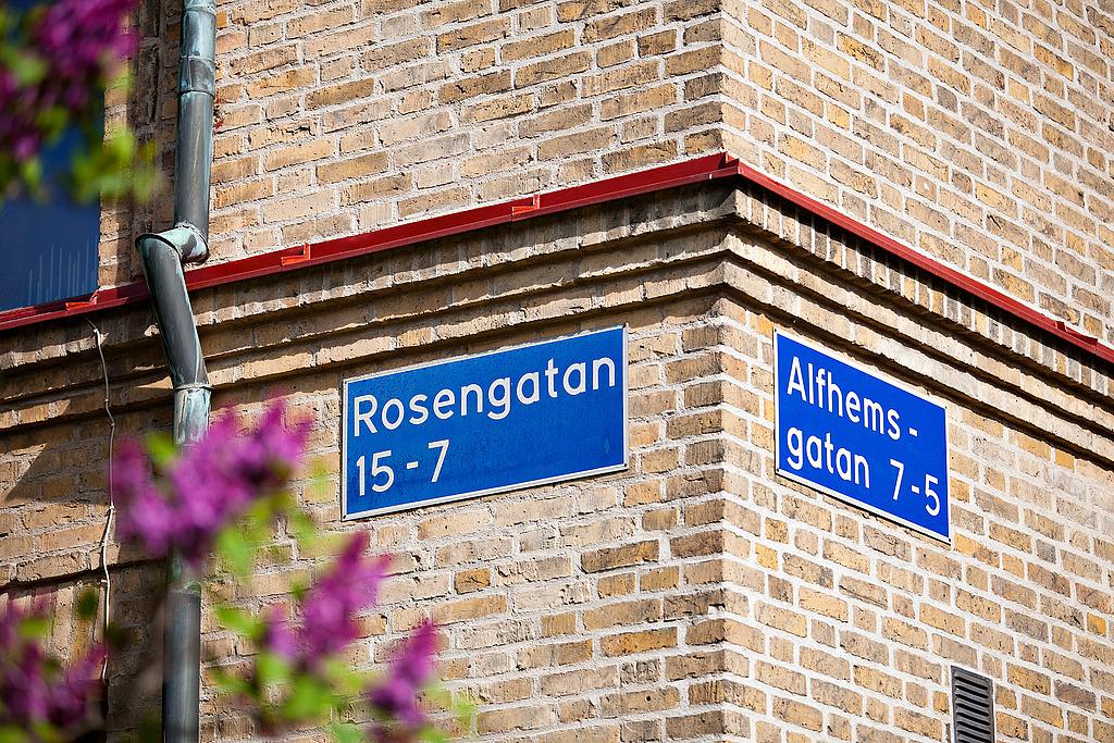 Linnés populäraste adress