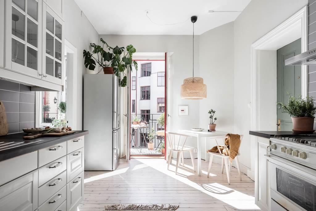 Solkatterna har inga problem att borra sig in