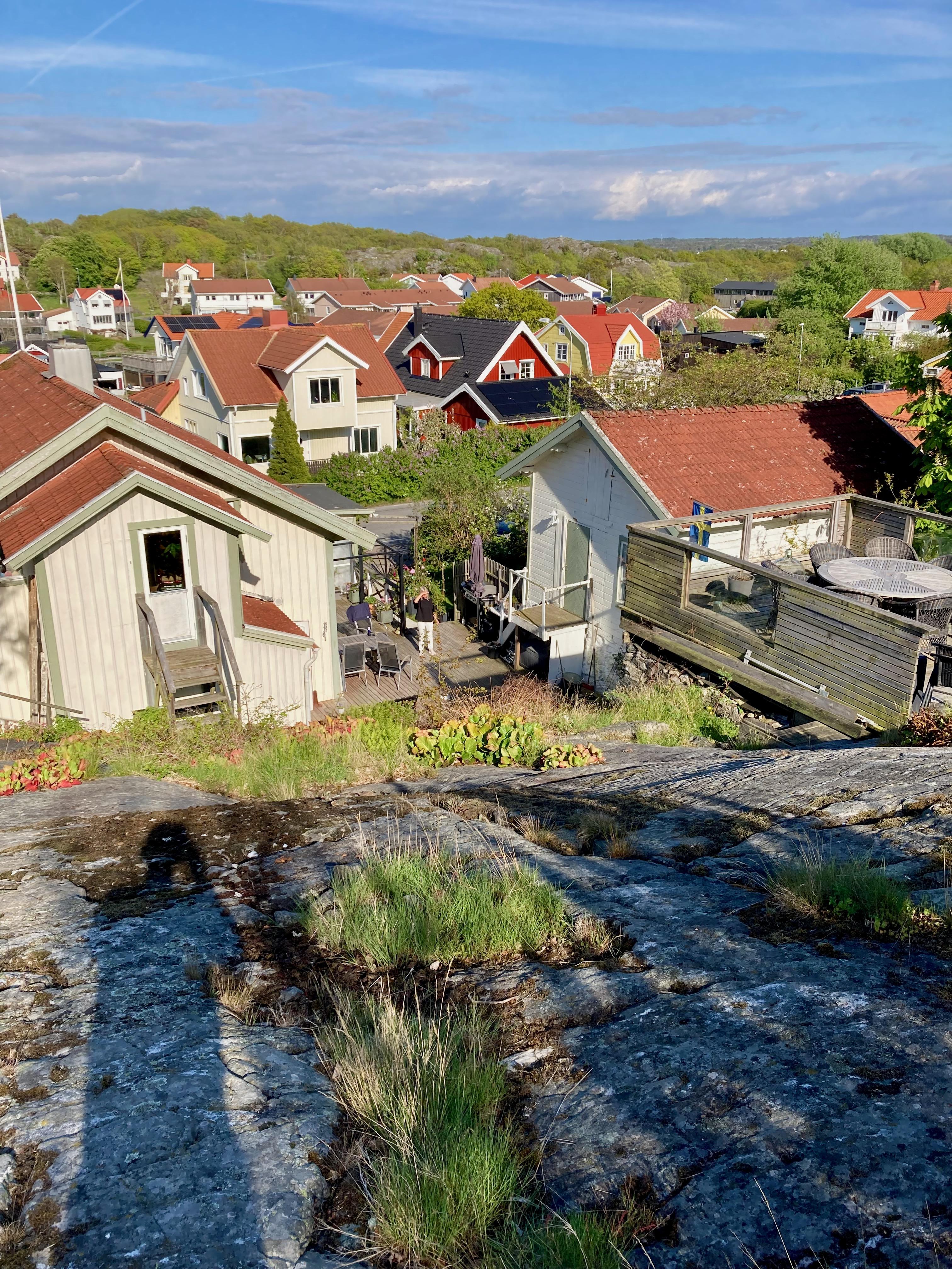 Säljarbild - Tomt/trädgård