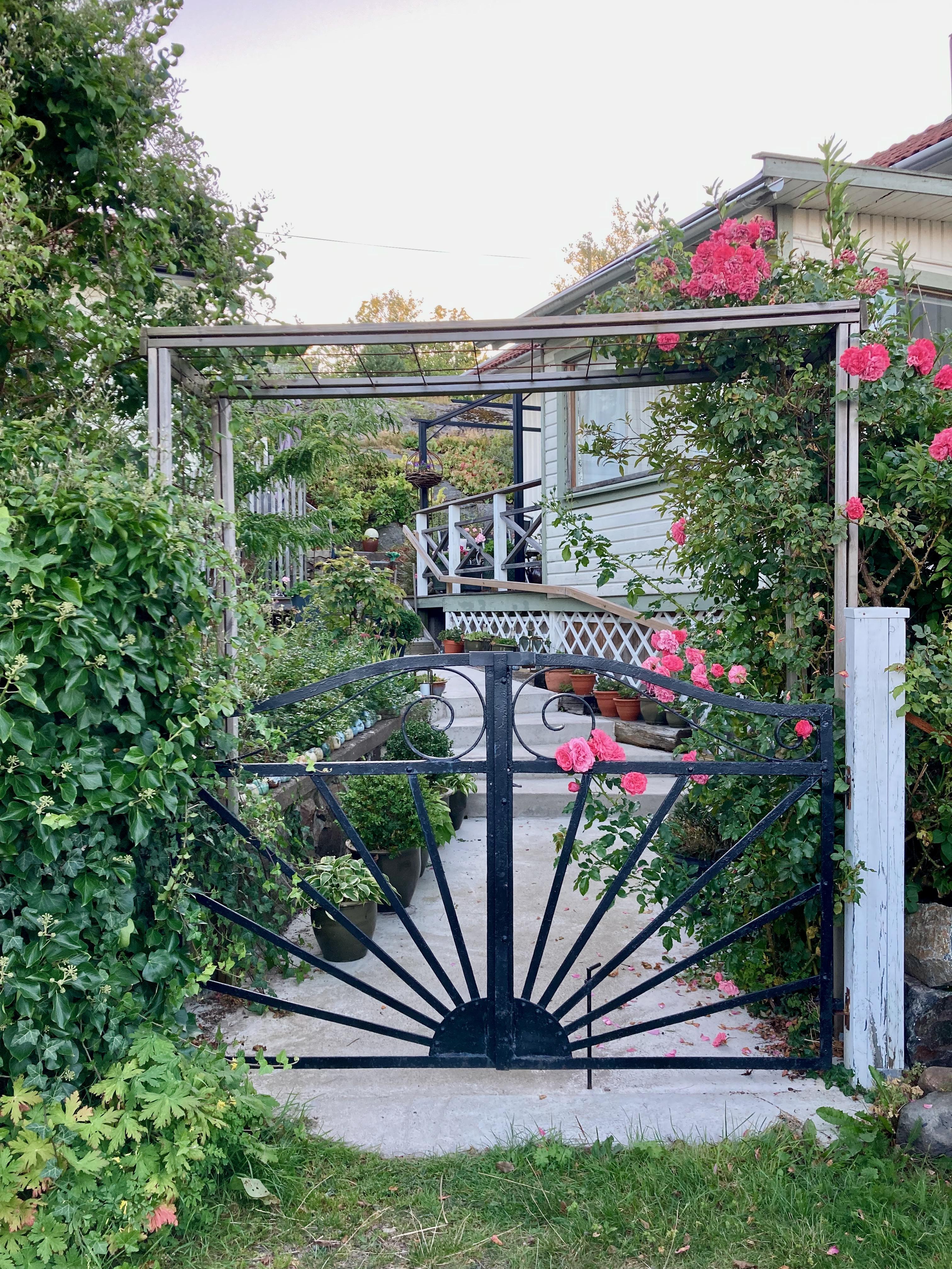 Säljarbild - Tomt/trädgård