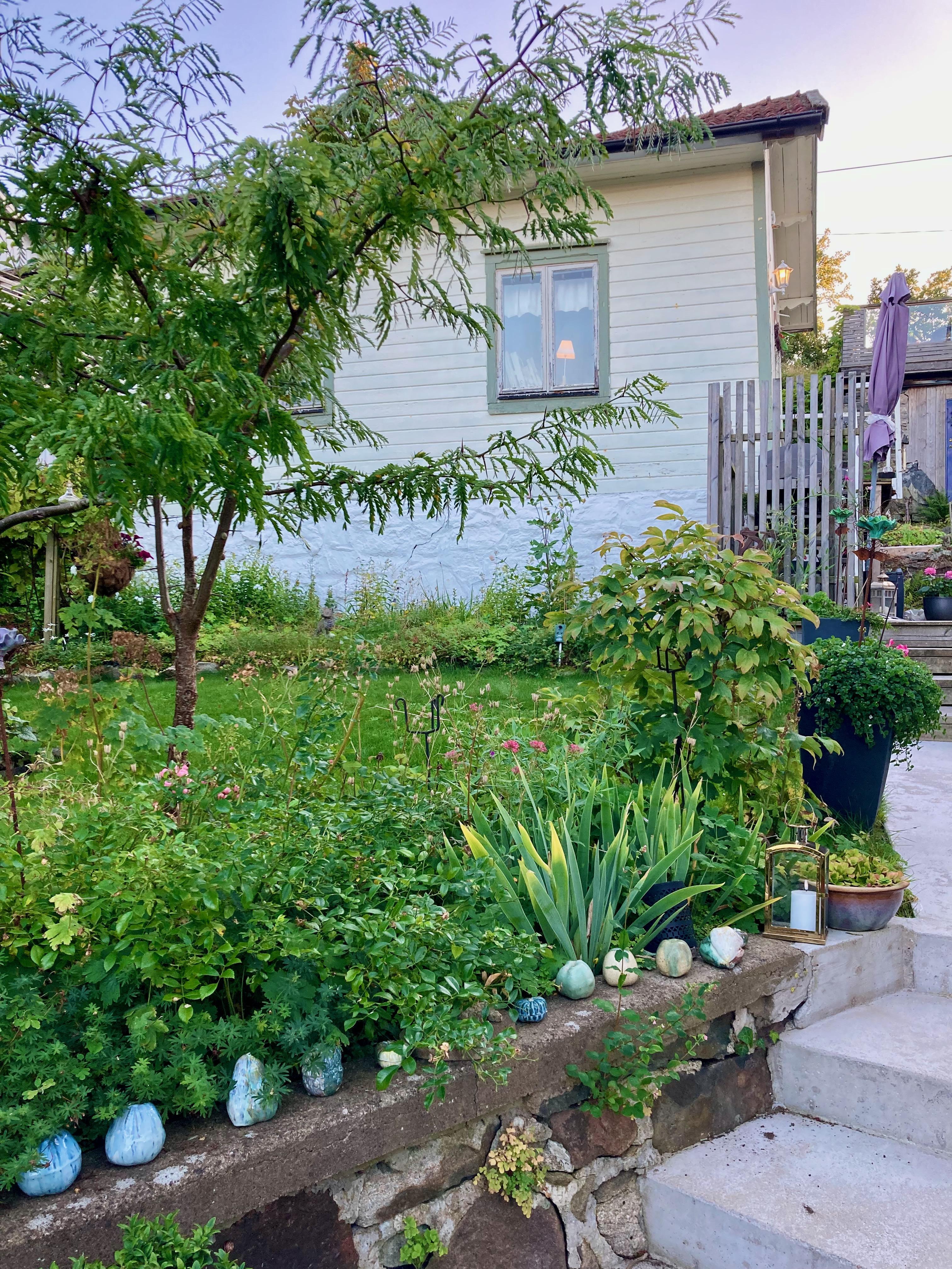 Säljarbild - Tomt/trädgård