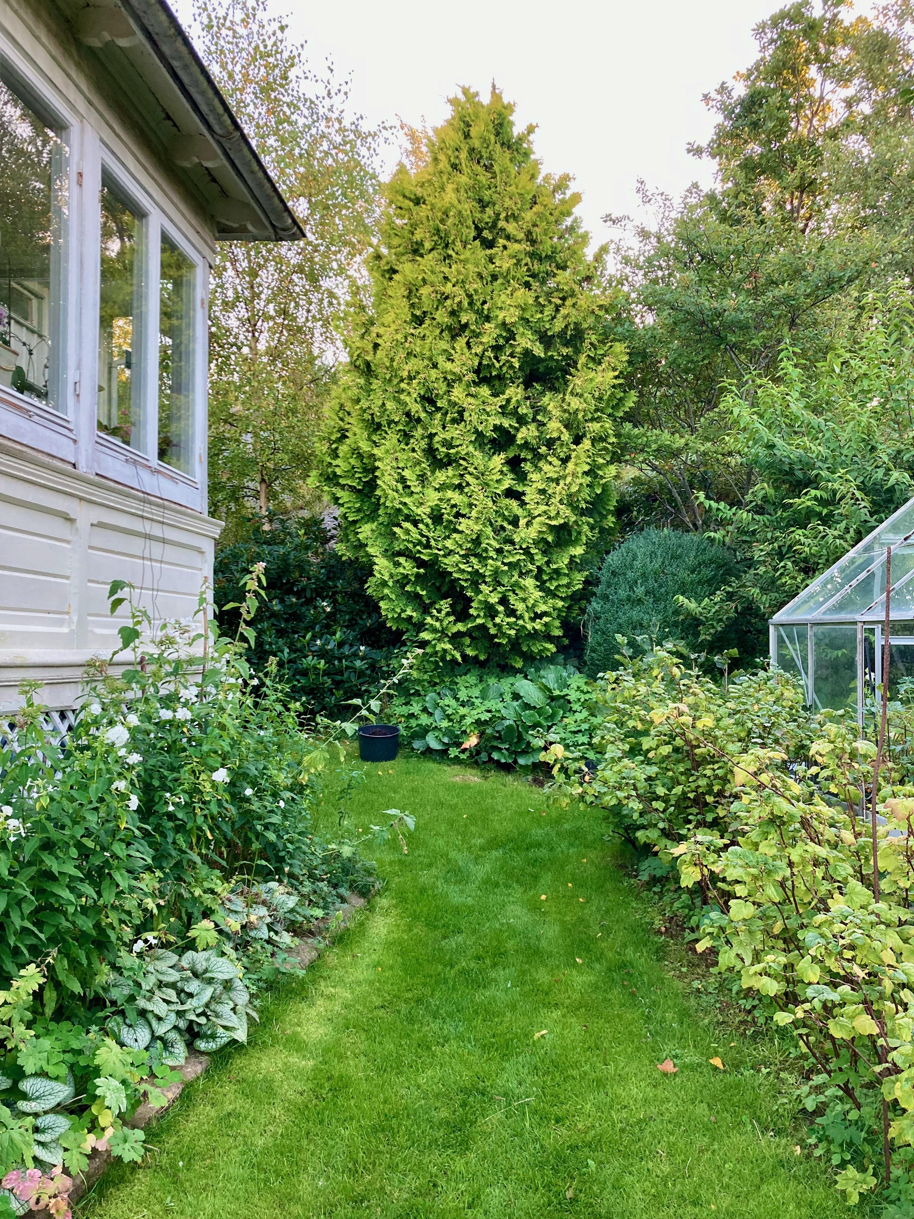 Säljarbild - Tomt/trädgård