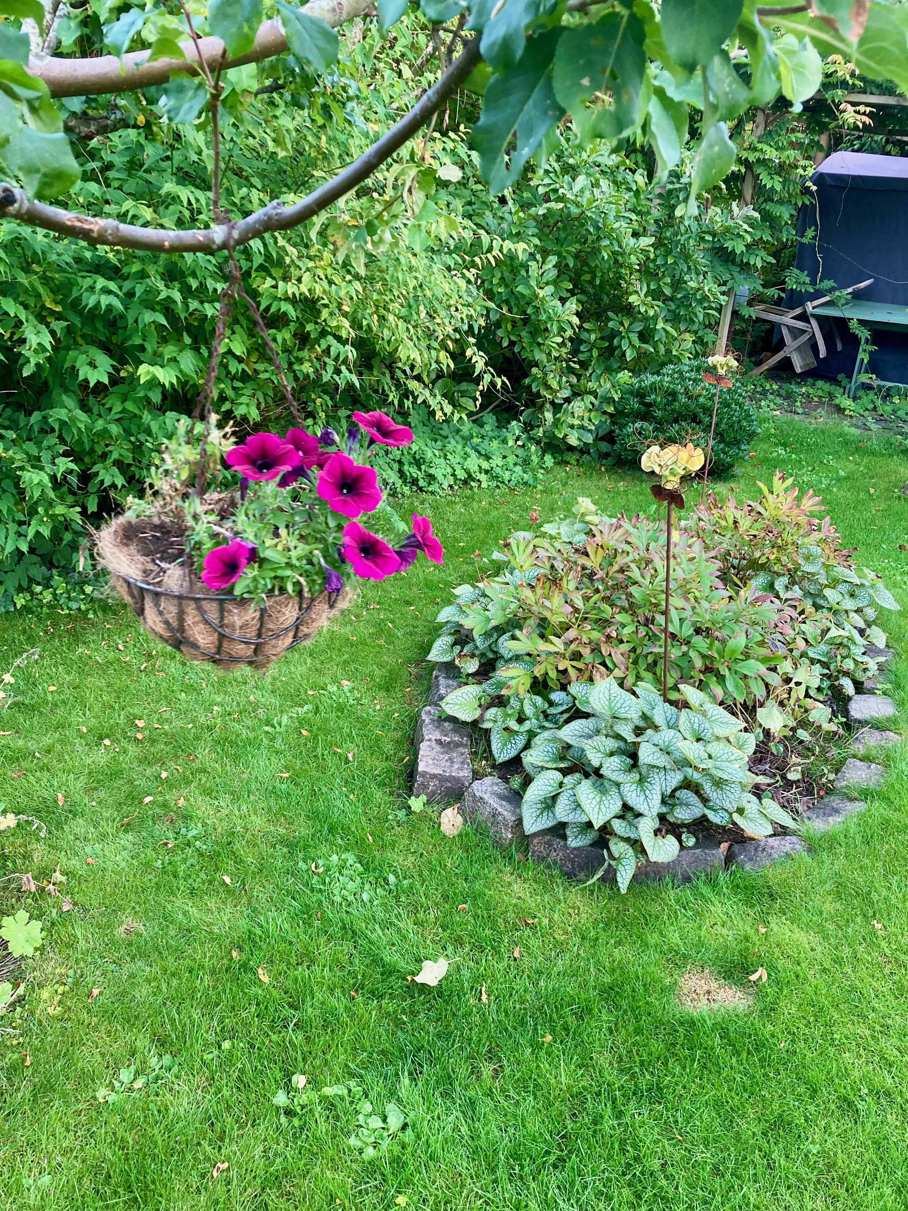 Säljarbild - Tomt/trädgård