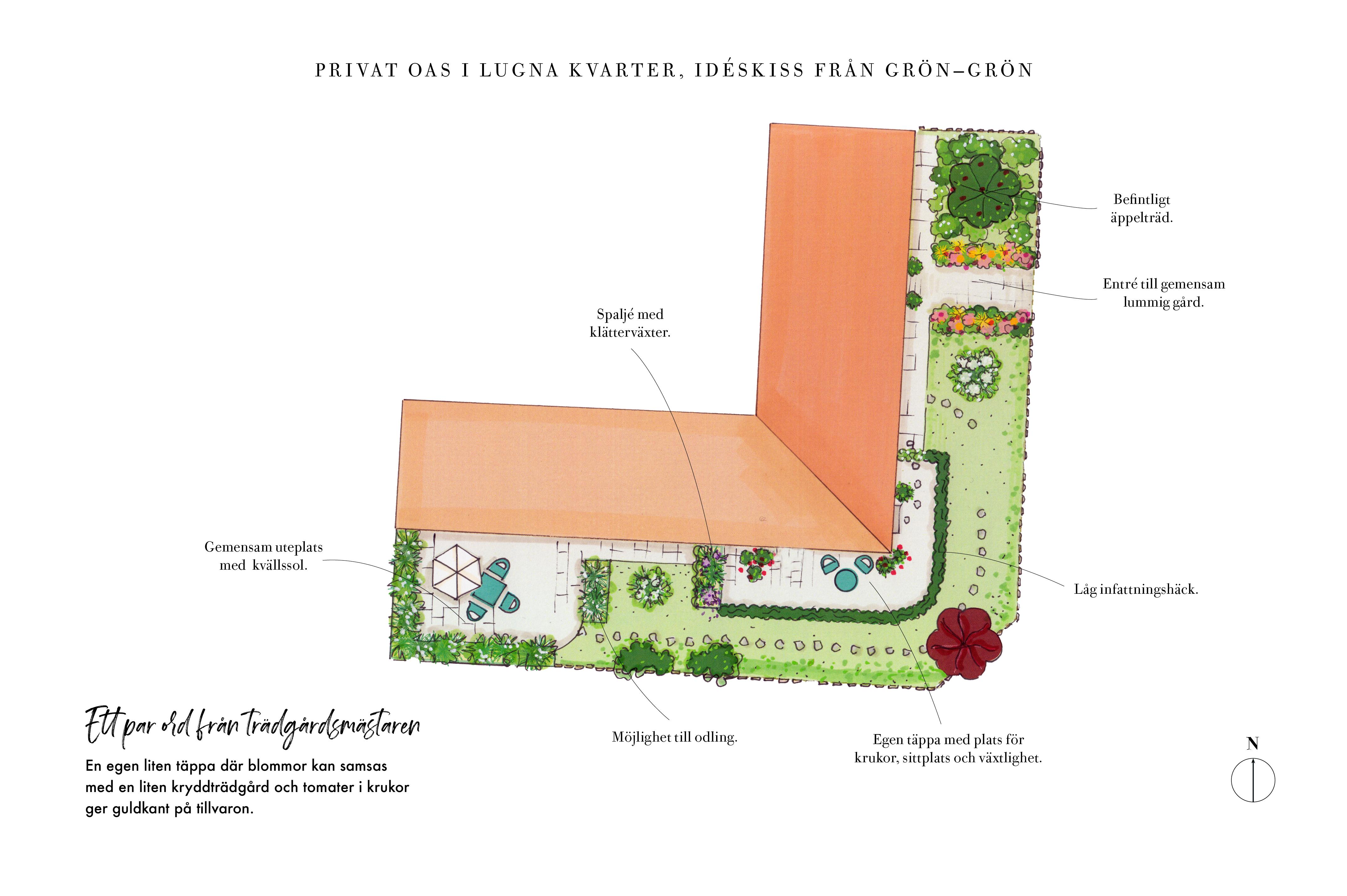 Idéritning över föreningens förträdgård