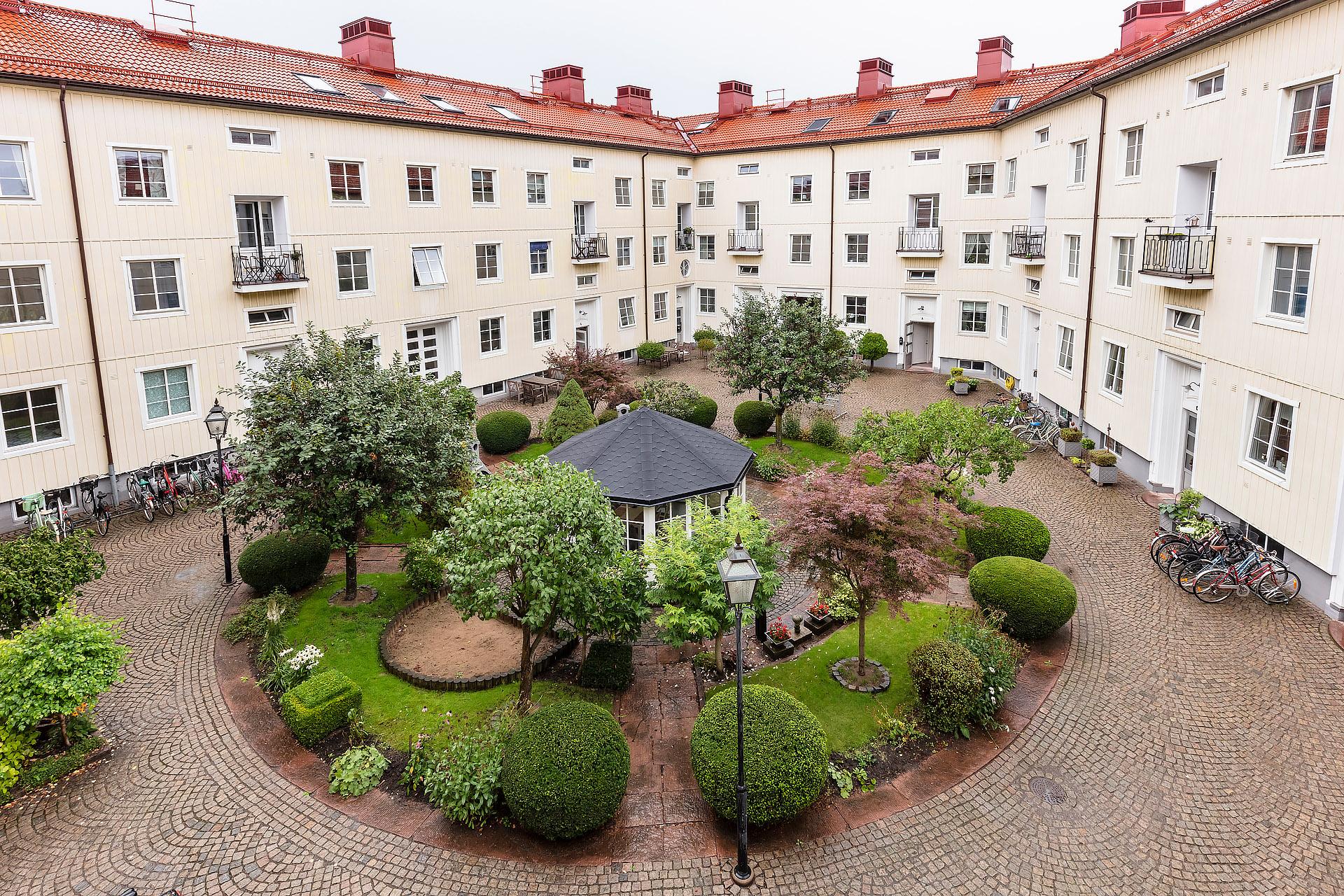 Vintergrön innergård