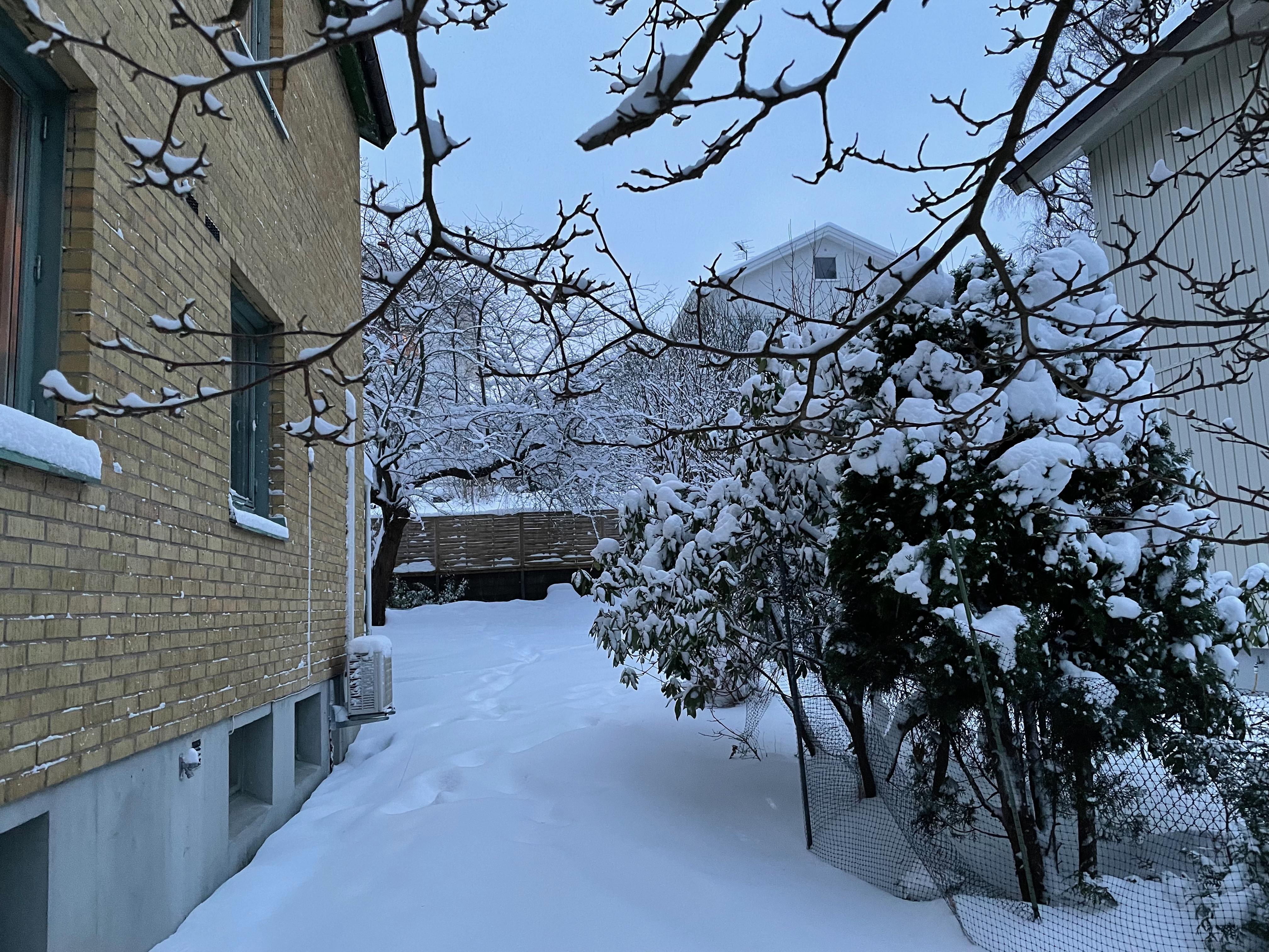 Säljarbild