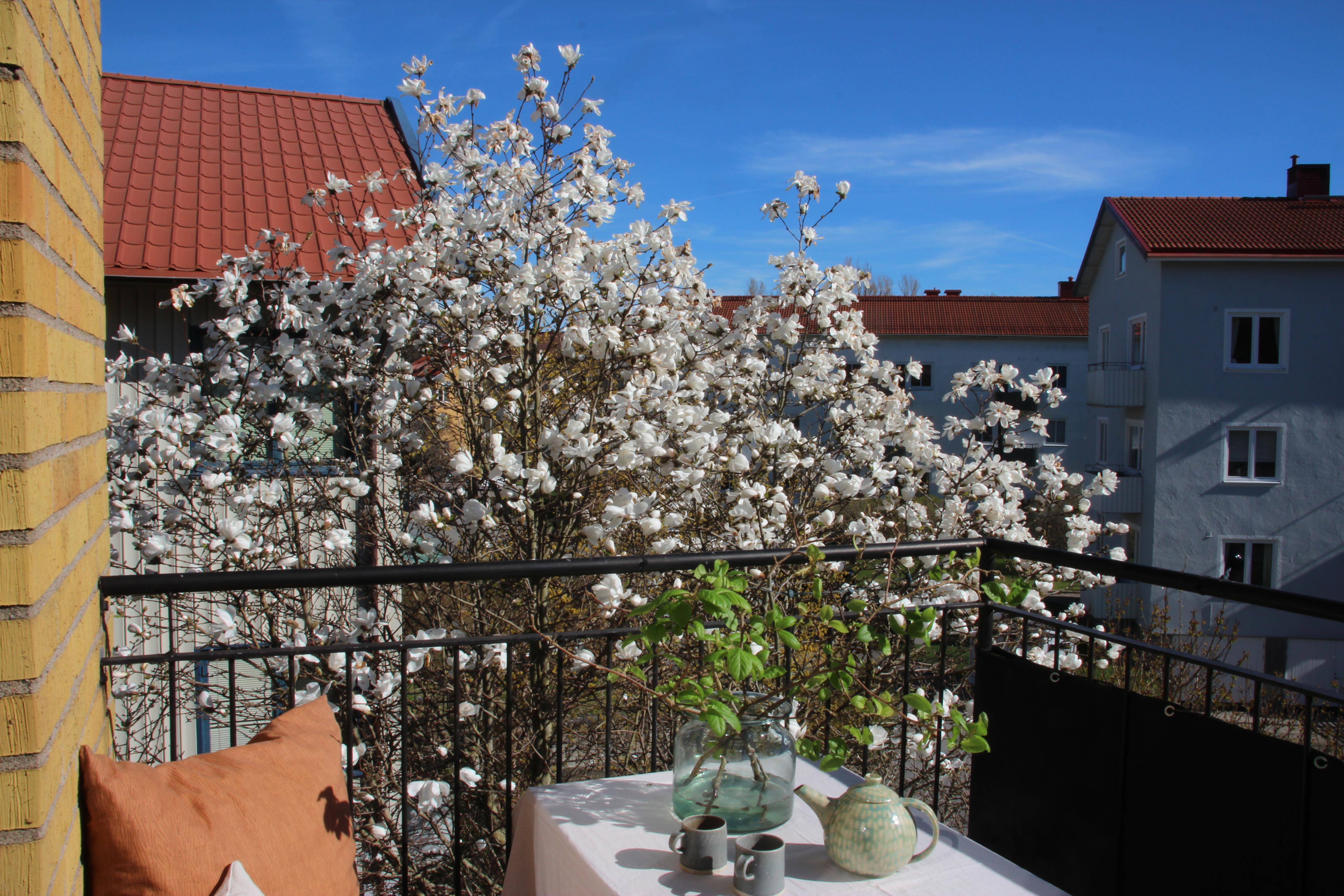 Säljarbild