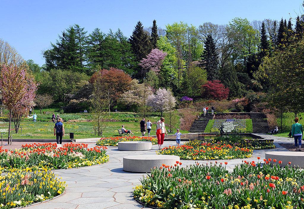 Närhet till Botaniska Trädgården och Slottsskogen