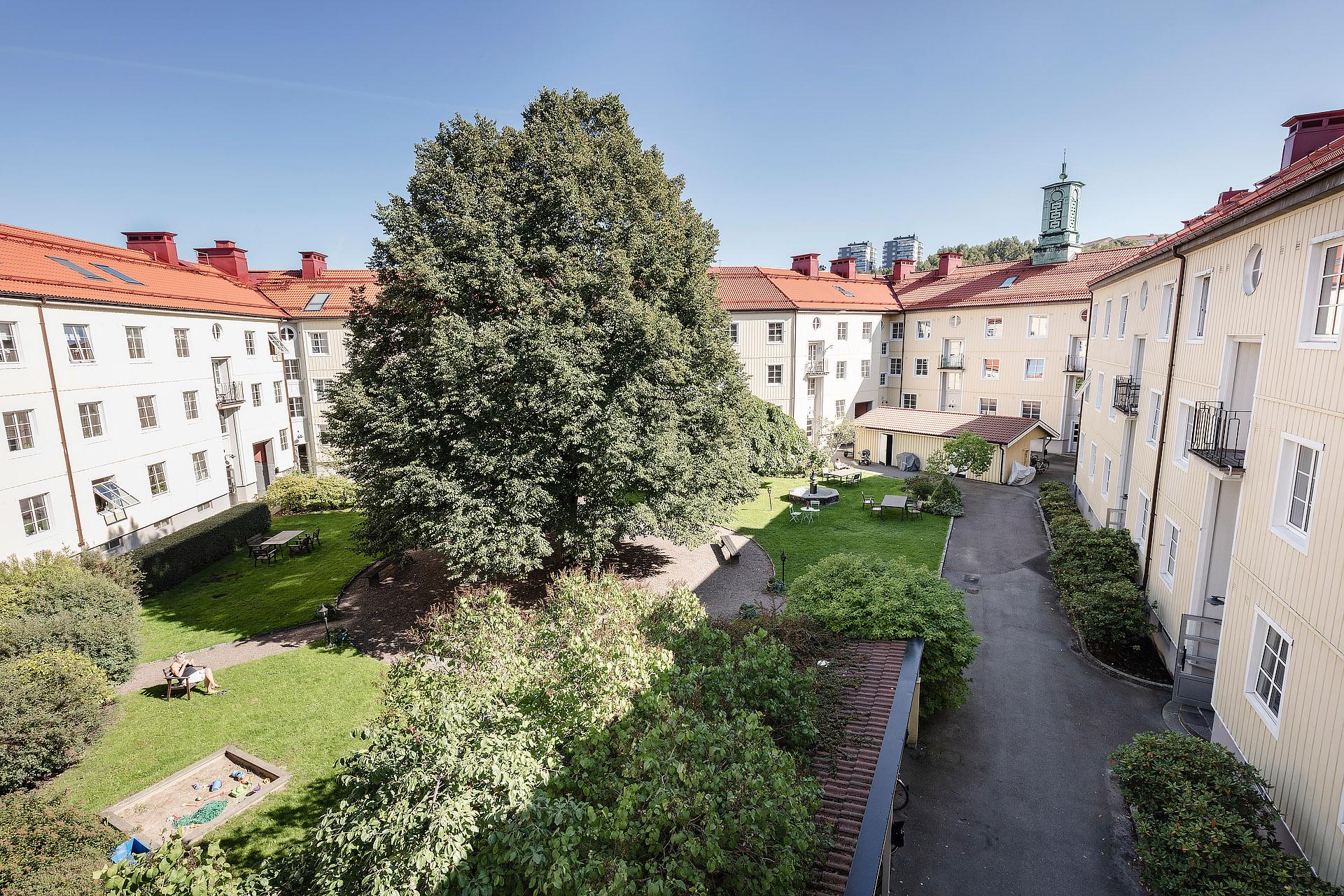 Utsikten från köksföntret