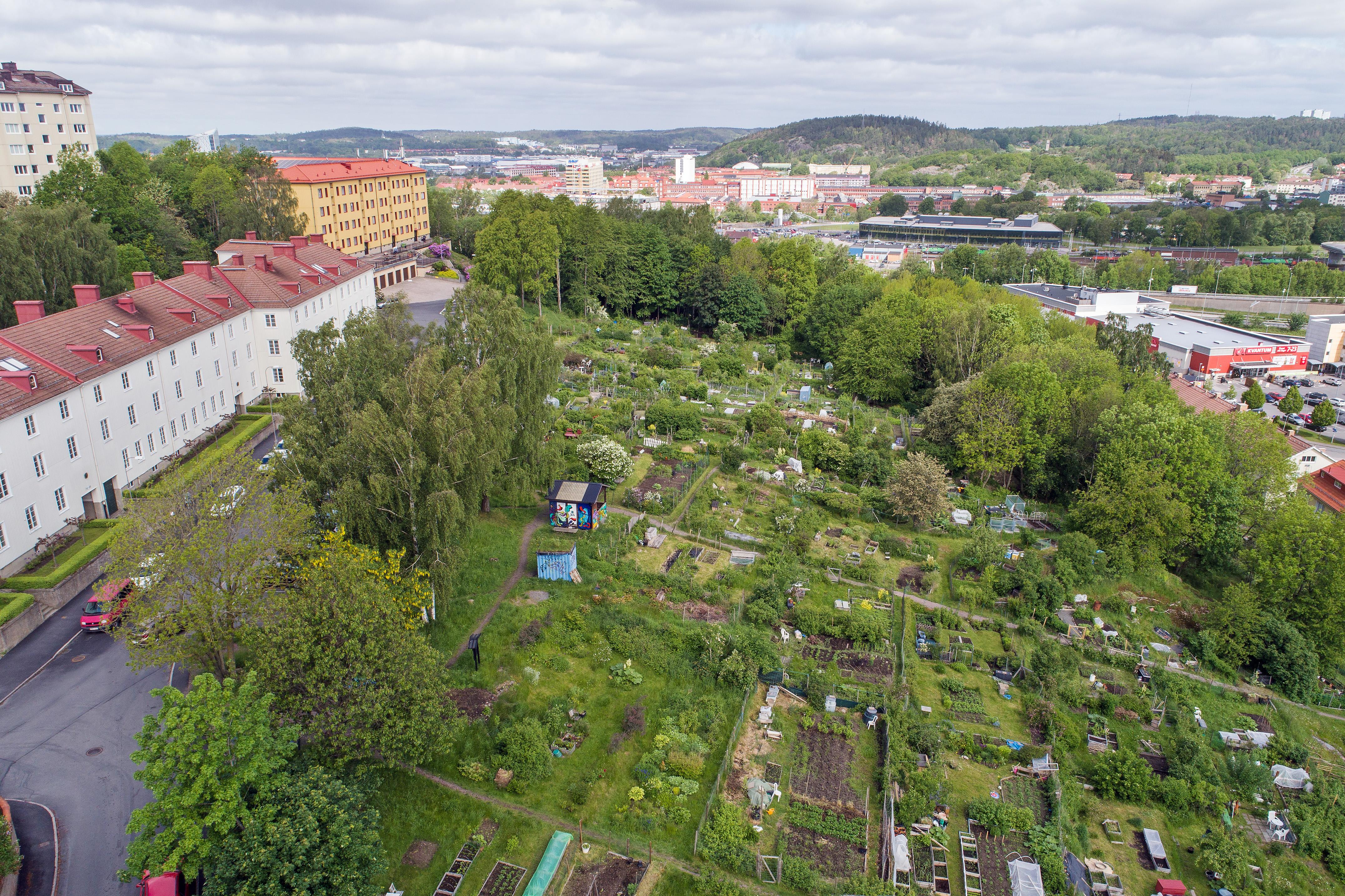 Granne med huset ligger Kristinedals odlarförening. Här finns genvägen ner till ICA Kvantum.