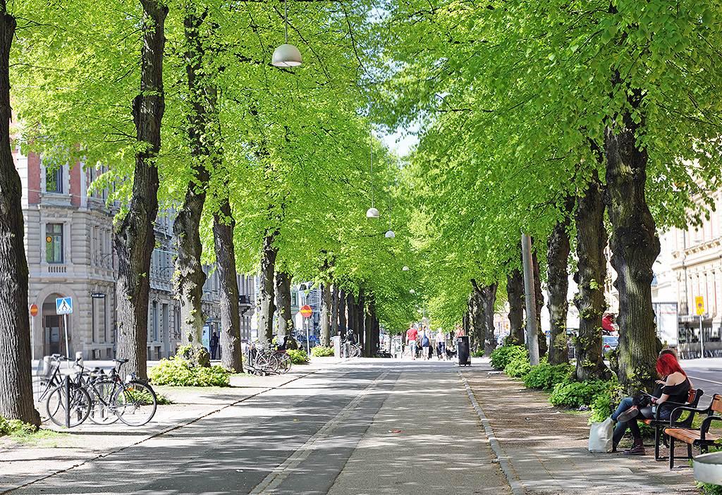 Ta en skön promenad i allén bort till Avenyn