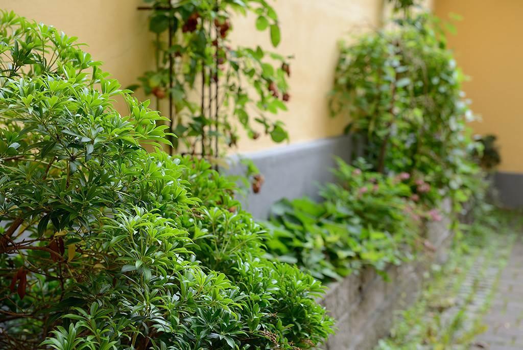 Lågupplöst Här finns grönska, utemöbler & cykelparkering