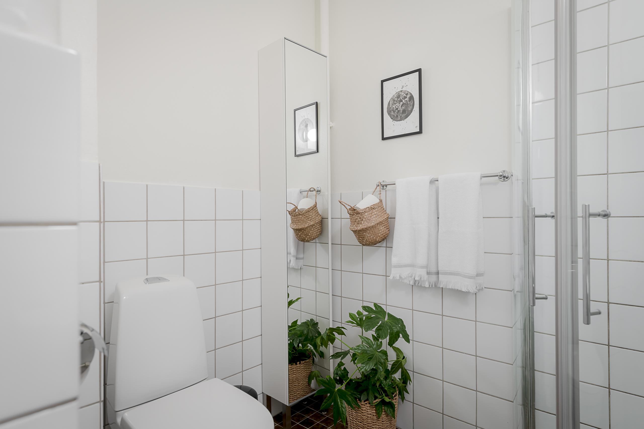 Lågupplöst